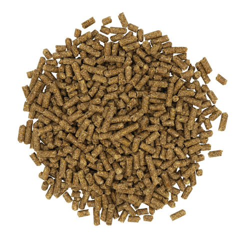 Growth — feed close-up