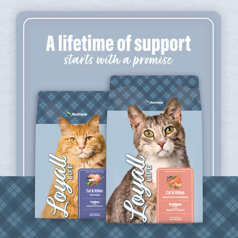 Nutrena® Loyall Life® Cat & Kitten Chicken Recipe 20 lbs