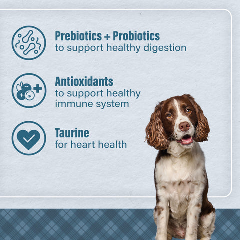 Nutrena® Loyall Life® Advanced Solutions Sensitive Skin & Coat Salmon & Oatmeal Recipe Adult Dog Food 30 lbs