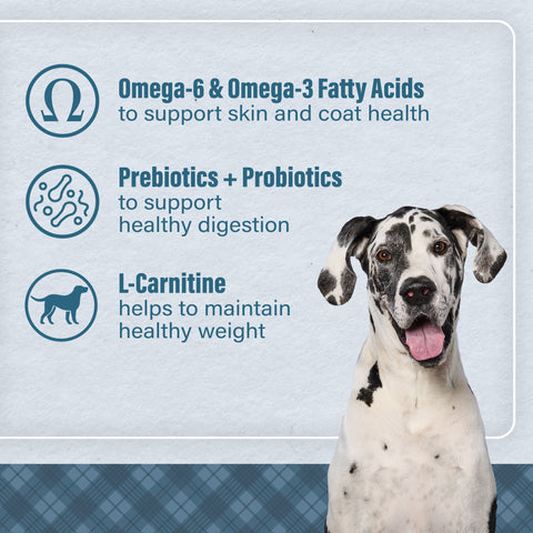 Nutrena® Loyall Life® Large Breed Beef & Barley Recipe Adult Dog Food 40 lbs