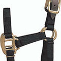 Hamilton Adjustable Foal Halter with Leather Headpole, Black