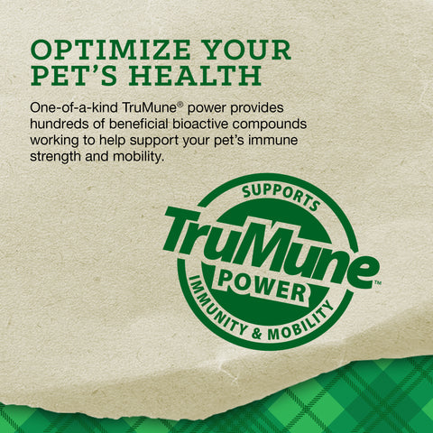 Nutrena® Loyall Life® Adult Lamb & Brown Rice 20 lbs