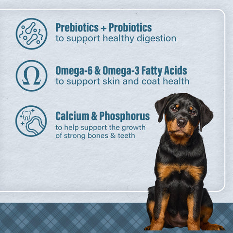 Nutrena® Loyall Life® Large Breed Puppy Chicken & Brown Rice Recipe Dog Food 40 lbs