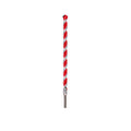 Milwaukee Carbide Hammer Drill Bit, 12"
