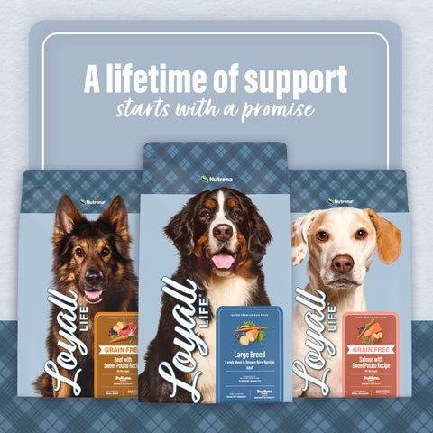 Nutrena® Loyall Life® Lamb Meal & Brown Rice Recipe Adult Dog Food 20 lbs