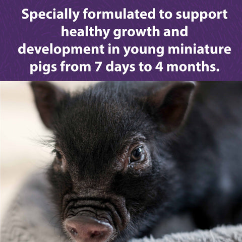 Mazuri® Mini Pig Youth, 25 lb – view 2