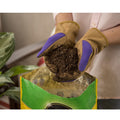Miracle-Gro Potting Mix with Fertilizer, 16 Quart
