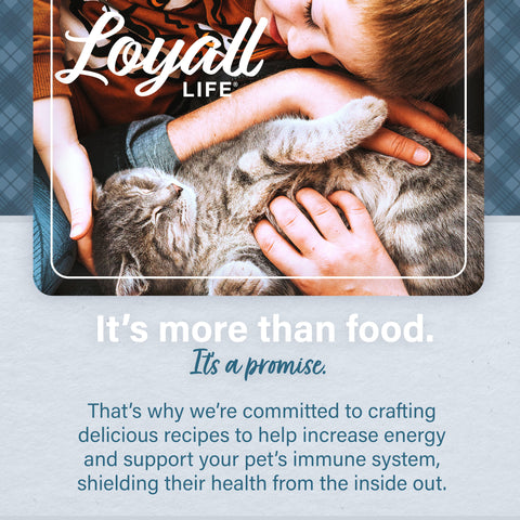 Nutrena® Loyall Life® Cat & Kitten Chicken Recipe 20 lbs