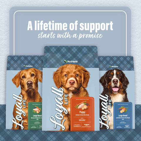 Nutrena® Loyall Life® Large Breed Puppy Chicken & Brown Rice Recipe Dog Food 40 lbs