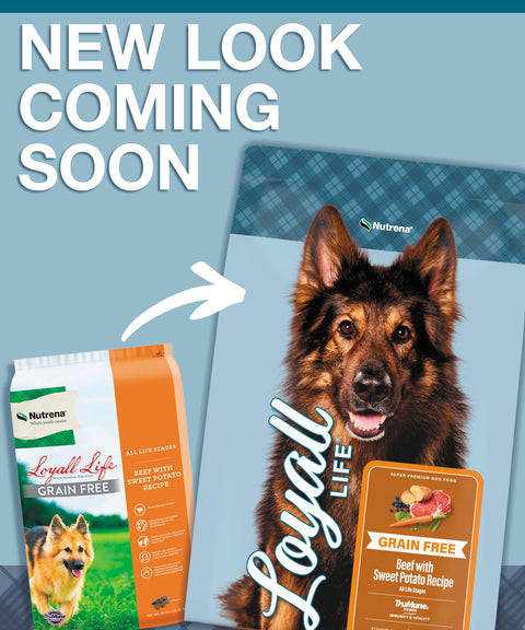 Nutrena® Loyall Life® Grain Free Beef with Sweet Potato Recipe All Life Stages Dog Food 30 lbs