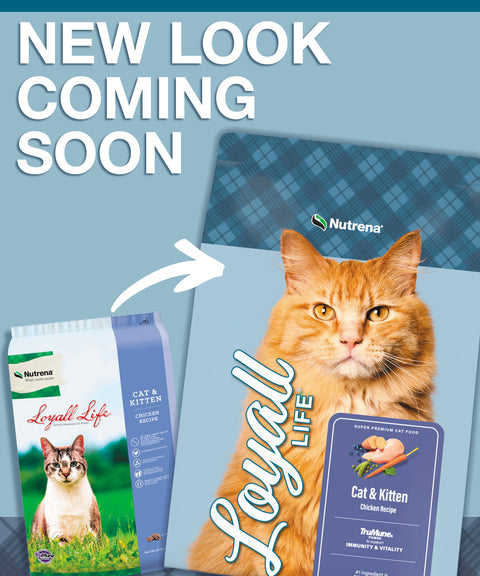 Nutrena® Loyall Life® Cat & Kitten Chicken Recipe 20 lbs
