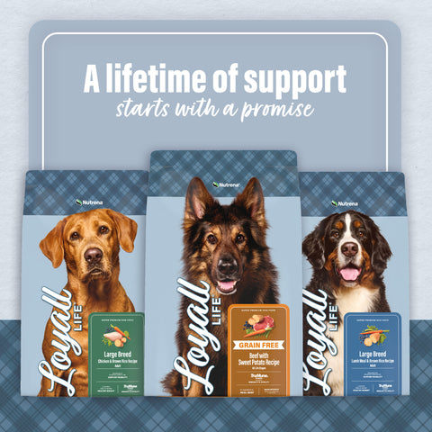 Nutrena® Loyall Life® Large Breed Beef & Barley Recipe Adult Dog Food 40 lbs