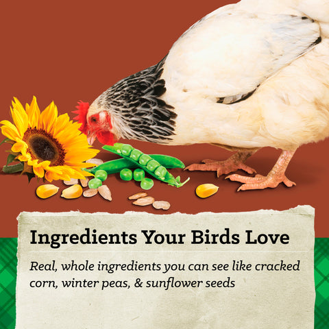 Nutrena® NatureWise® Harvest Blend 18% Textured Layer Feed 40 lbs