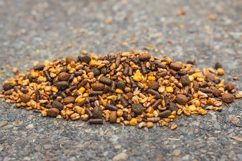 Cavalor Endurix Puffed & Extruded Sport Muesli Texture