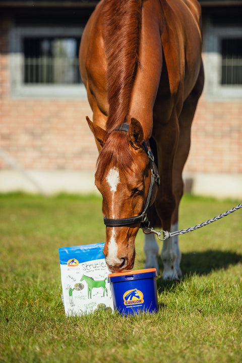Cavalor Strucies Herbal High-Fiber Nuggets
