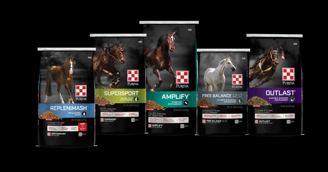 Purina® Horse Supplement