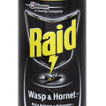 Raid Wasp & Hornet Killer Aerosol Spray