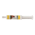 Durvet AspirEze Apple Flavor Aspirin Gel for Horses, 80 cc Syringe