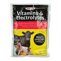 Durvet Vitamins & Electrolytes – 8 oz