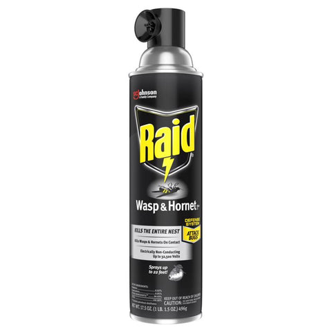 Raid Wasp & Hornet Killer Aerosol Spray