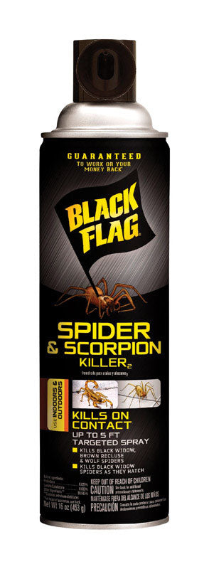 Black Flag Spider and Scorpion Killer