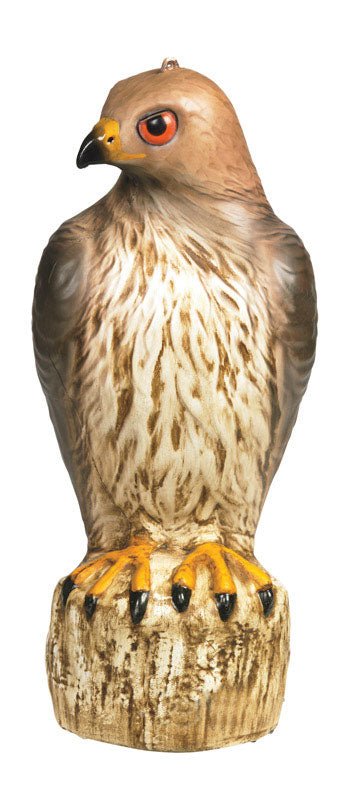 Bird-B-Gone Hawk Decoy