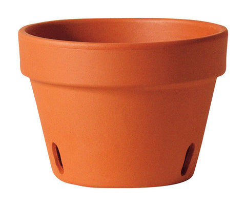 Deroma Red Clay Orchid Pot, 8.3 in