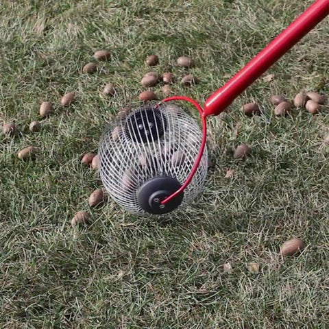 Garden Weasel Nut Gatherer, Medium
