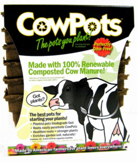 CowPots Square Pots, 3 in, 12 Pack
