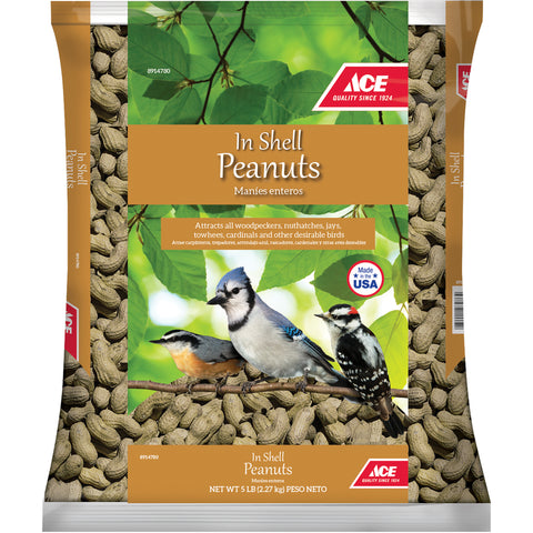 5LB Peanut Bird Food