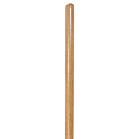 Ace Leaf Rake Poly 24"