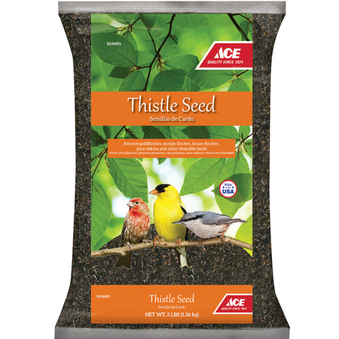 Ace Thistle Seed 3#