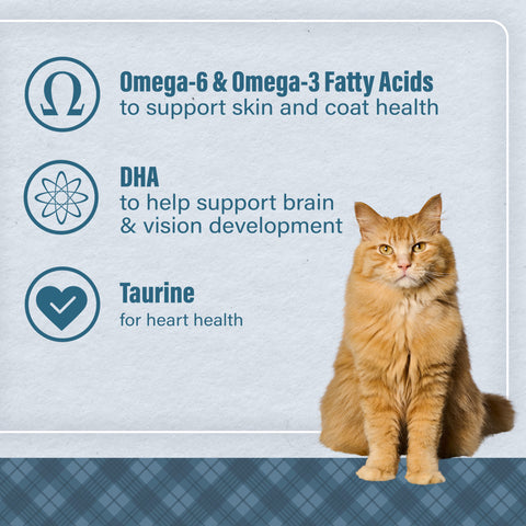Nutrena® Loyall Life® Cat & Kitten Chicken Recipe 20 lbs