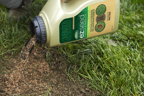 Scotts EZ Seed Tall Fescue, 3.75 lb.