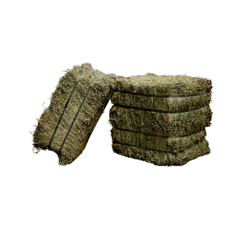 Semican PURE Alfalfa Hay compressed bale