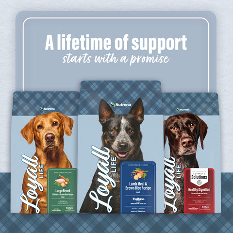 Nutrena® Loyall Life® Chicken & Brown Rice Recipe All Life Stages Dog Food 20 lbs
