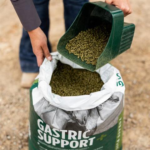 Standlee Gastric Support Pellets for Horses 40 lbs