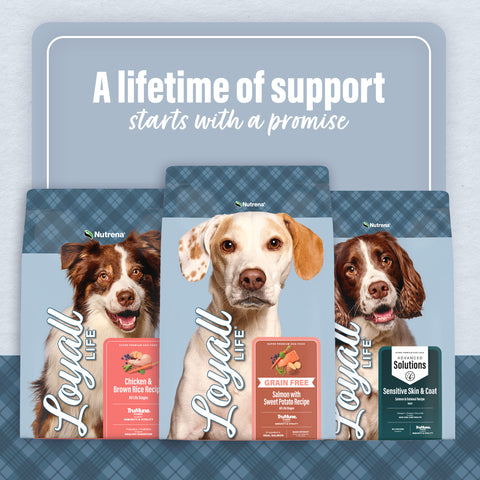 Nutrena® Loyall Life® Advanced Solutions Healthy Digestion Chicken & Rice Recipe Adult Dog Food 30 lbs