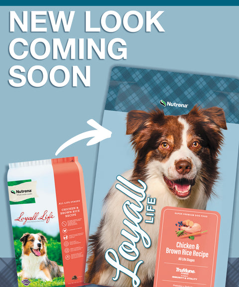 Nutrena® Loyall Life® Chicken & Brown Rice Recipe All Life Stages Dog Food 40 lbs