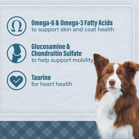 Nutrena® Loyall Life® Chicken & Brown Rice Recipe All Life Stages Dog Food 40 lbs