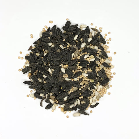 Blue Seal® Concerto Wild Bird Feed, 20 lb