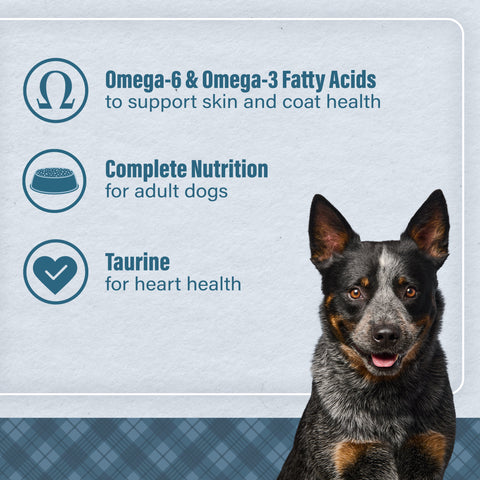Nutrena® Loyall Life® Lamb Meal & Brown Rice Recipe Adult Dog Food 40 lbs