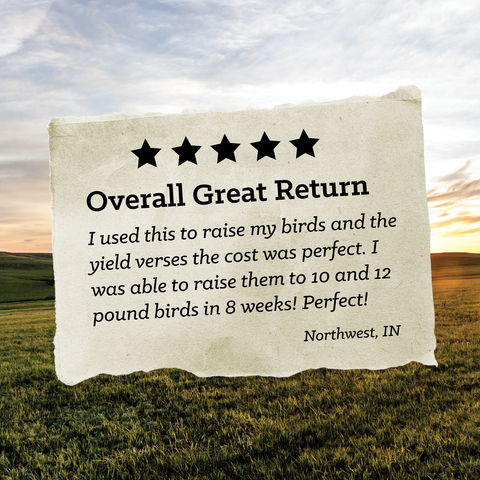 Nutrena® NatureWise® Meatbird 22% Protein Crumble 40 lbs