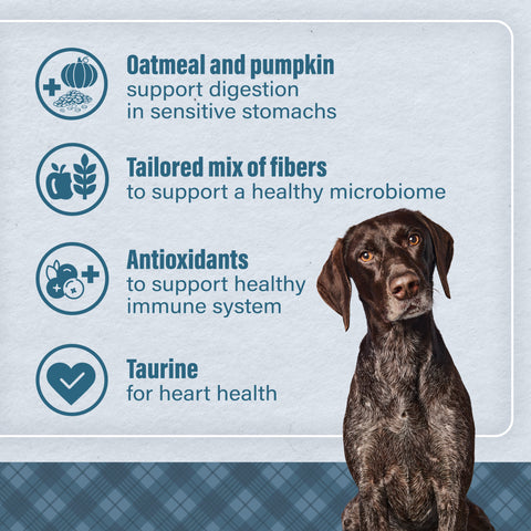 Nutrena® Loyall Life® Advanced Solutions Healthy Digestion Chicken & Rice Recipe Adult Dog Food 30 lbs