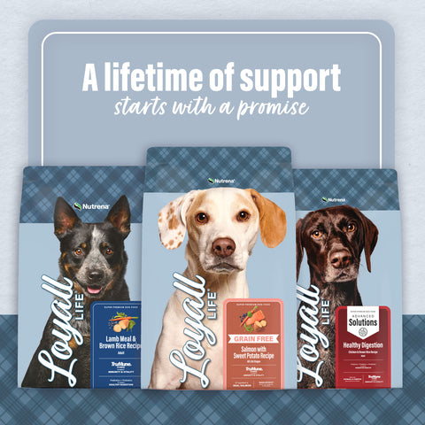 Nutrena® Loyall Life® Advanced Solutions Sensitive Skin & Coat Salmon & Oatmeal Recipe Adult Dog Food 30 lbs