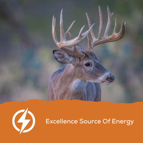 Record Rack® Sweet Deer Corn 40 lbs